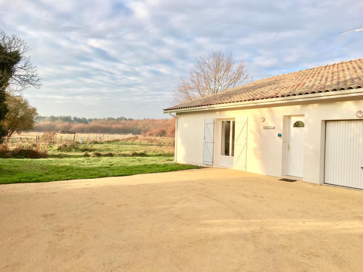 La Villa Landaise Sainte-Eulalie-en-Born Extérieur photo
